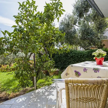 Apartments Vesna 1075 Póla
